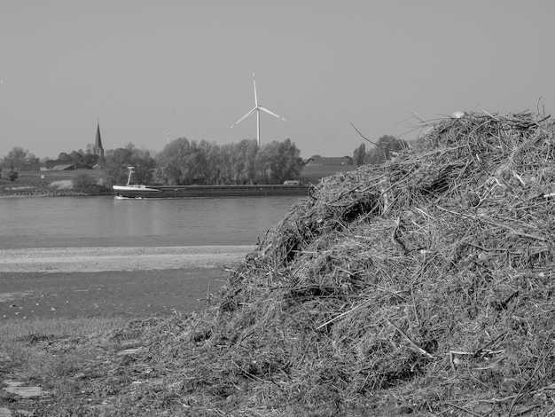 the rhine river