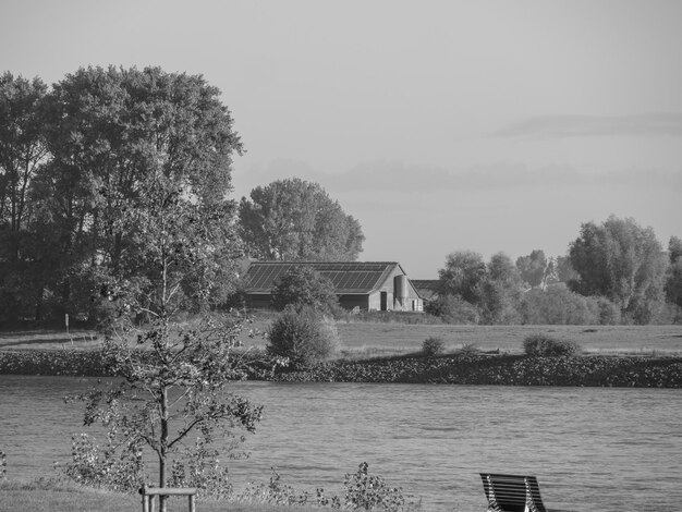 at the rhine river