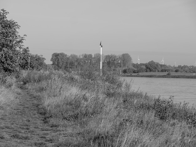 Foto il fiume reno