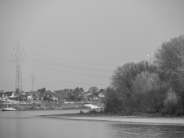 Photo at the rhine river