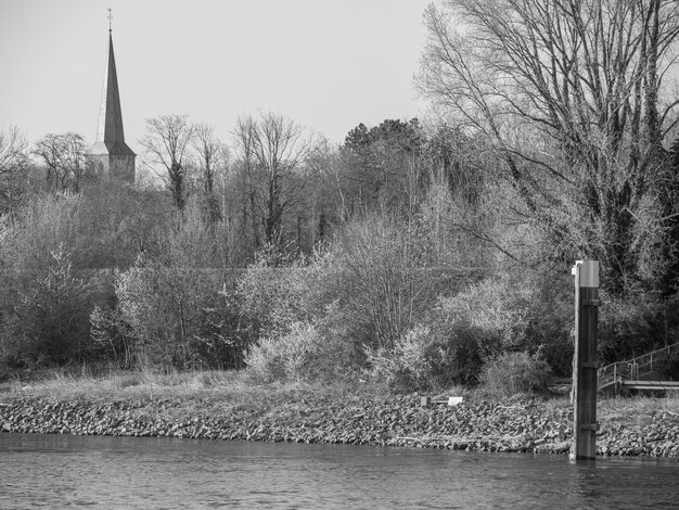 Photo at the rhine river