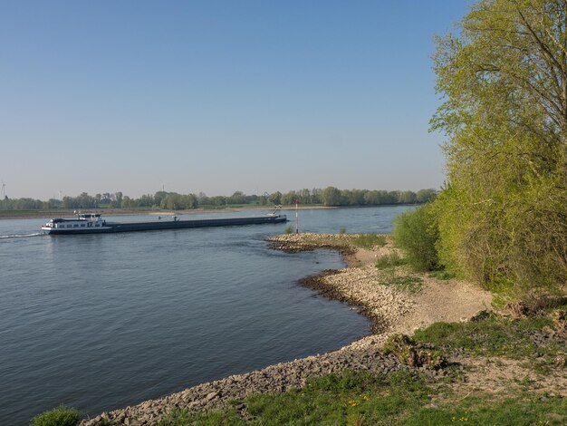 Photo at the rhine river