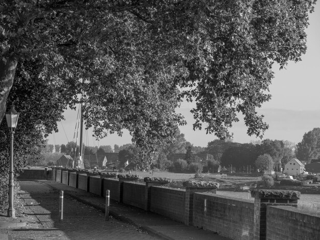 at the rhine