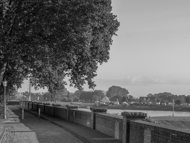 Photo at the rhine