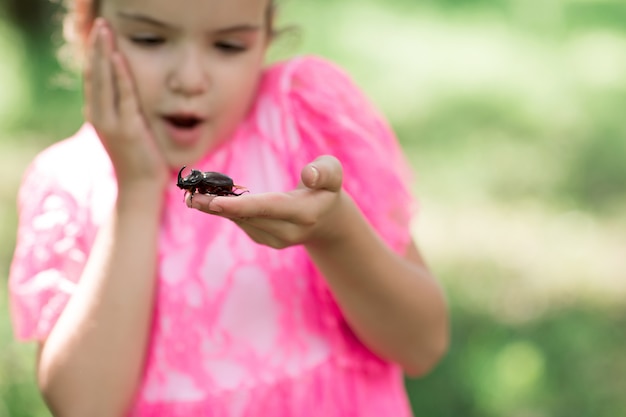 Rhinoceros beetle crawling on the fingers of the human hand.