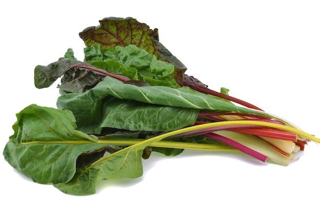 Rhubarb isolated on white background