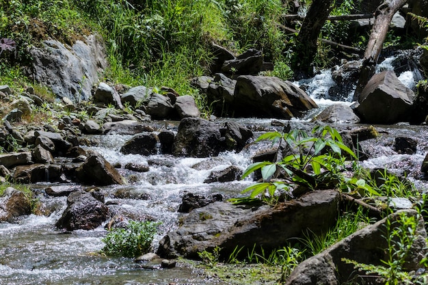 riachuelo、rio de agua cristalina en la cordillera de los andes、cascada natural