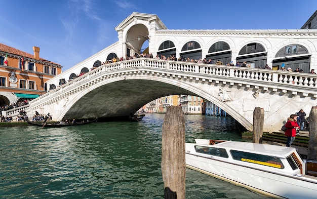 Rialtobrug in Venetië Italië