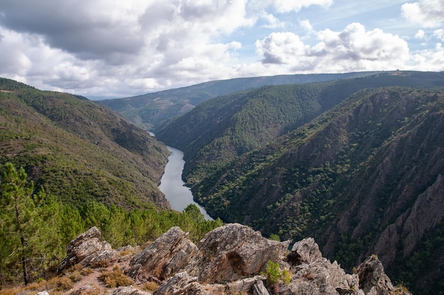 Ribeira Sacra