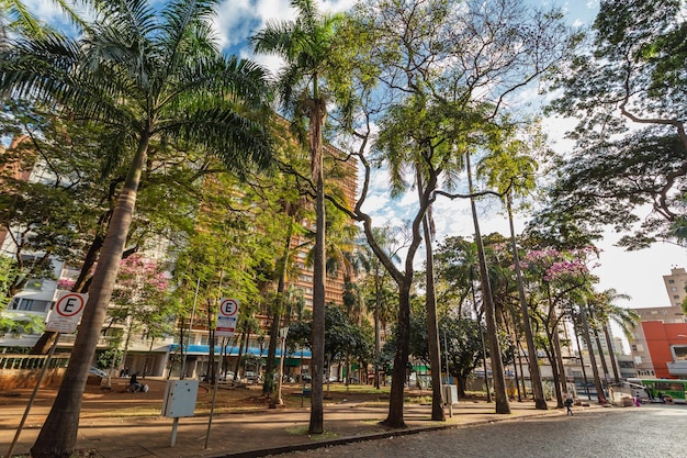 リベイランプレトサンパウロブラジル2022年6月頃市内のメイン広場