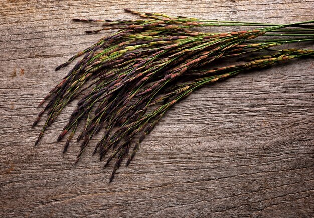 Rice berry on wooden background