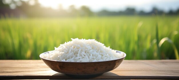 rice dish