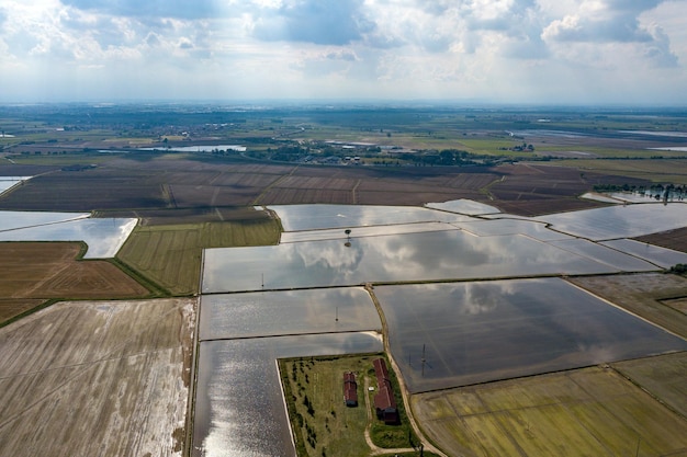 Rice farmed fields in italy aerial view