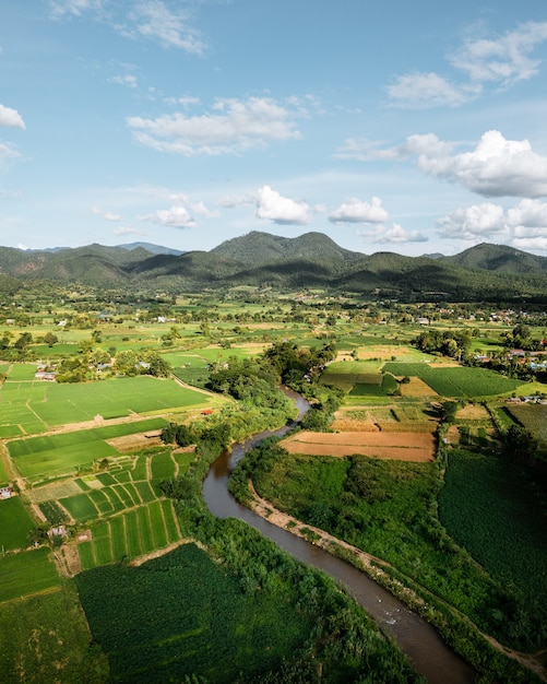 Рисовое поле, вид с воздуха на рисовые поля