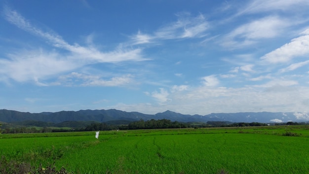 田んぼの風景、雲と山と青い空