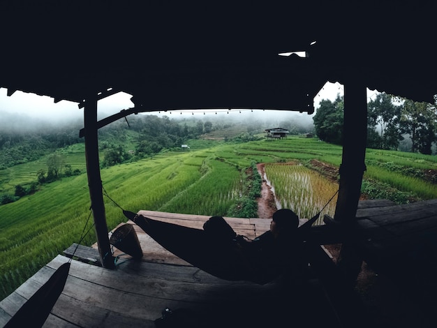 Rice field vacation people at huts and rice terraces