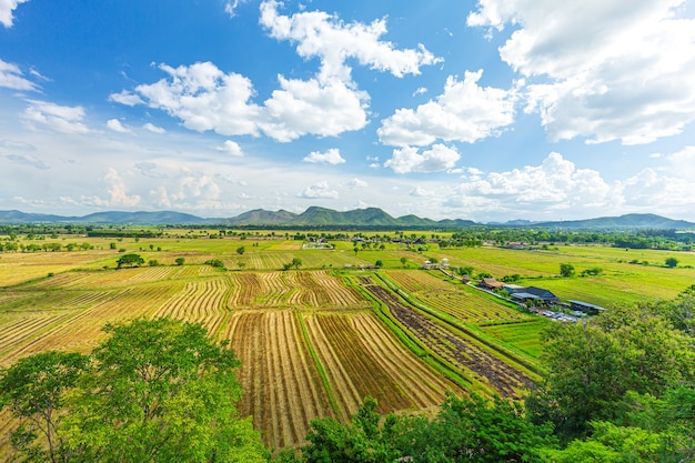 rice field with beautiful mountains and cloudsKorean traditional rice farming