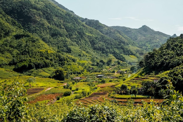 사진 베트남 ha giang 루프를 따라 논