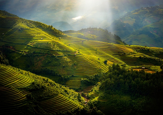 Mu Cang Chai、イエンバイ、ベトナムでの日の出の木造パビリオンの段々になった田んぼ。