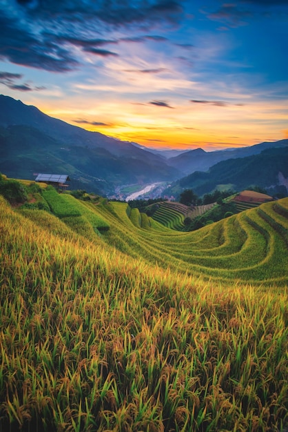 Mu Cang Chai YenBai Vietnam의 석양에 목조 파빌리온이 있는 계단식 논