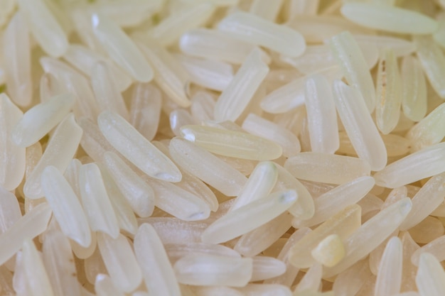 Rice grain (jasmine rice) for background 