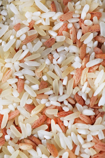 Rice grains close up