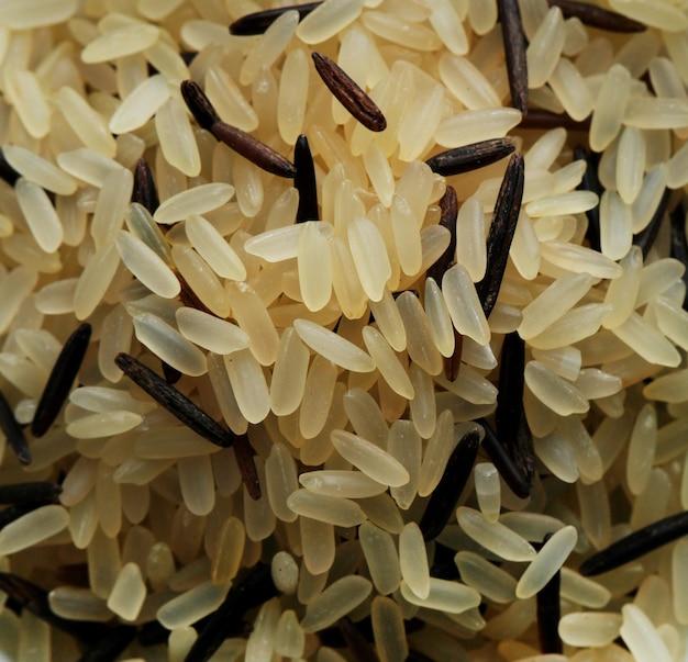 Rice grains on pale close up