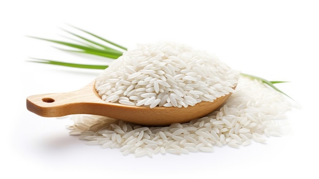 rice isolated