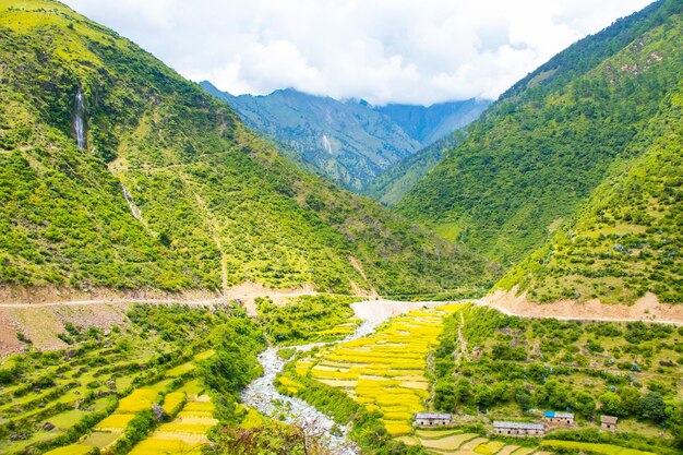 Photo rice paddy fields of himalaya nepal with green hill and mountain