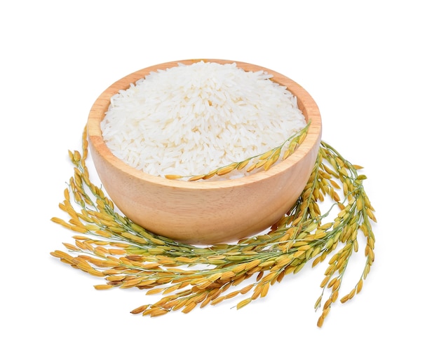 Rice plants, grains of Thai jasmine rice in wood bowl on white background