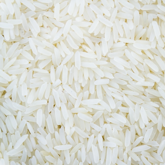 Photo rice raw background