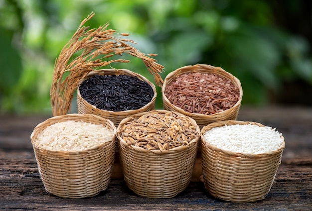 Rice,riceberry,jasmine brown rice ,jasmine red brown rice and
paddy on nature surface.