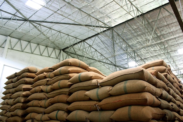 Rice sacks in the factory