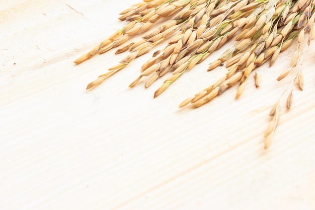 Rice seed and wooded background warm tone