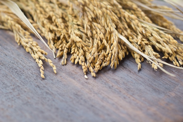 Rice seed on wooden background.