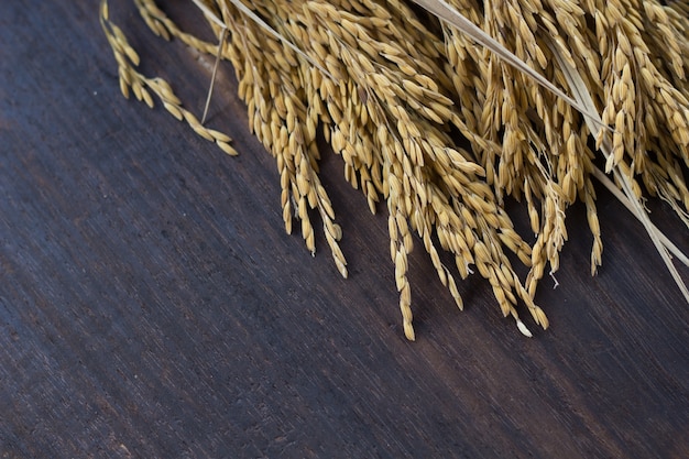 Photo rice seed on wooden background.