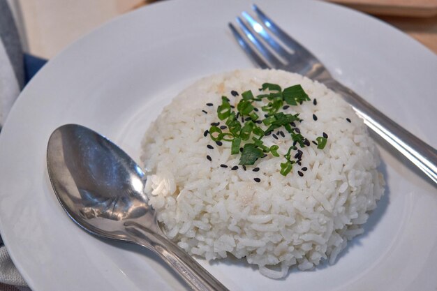 Foto riso servito sul piatto bianco