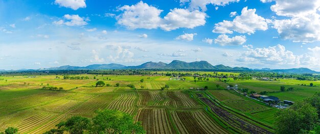 Rice Terrace Aerial Shot Image of beautiful terrace rice field in Chiang Rai Thailand