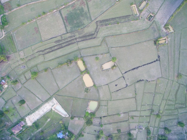 Rice Terrace Aerial Shot