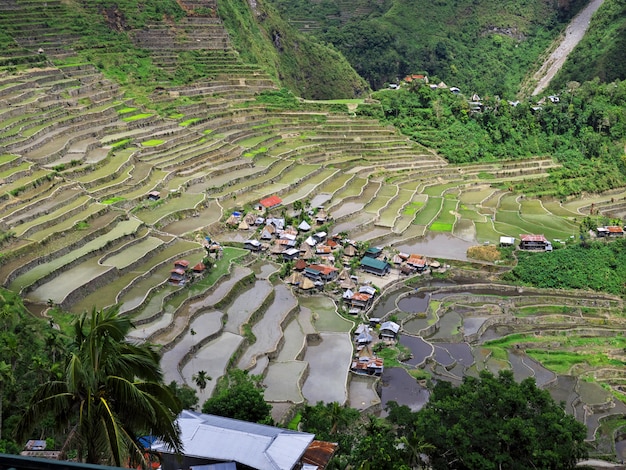 Le terrazze di riso a banaue, nelle filippine