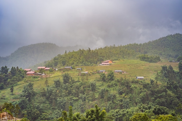 Rice terraces in the fog in sapa vietnam rice fields prepare the harvest at northwest vietnam