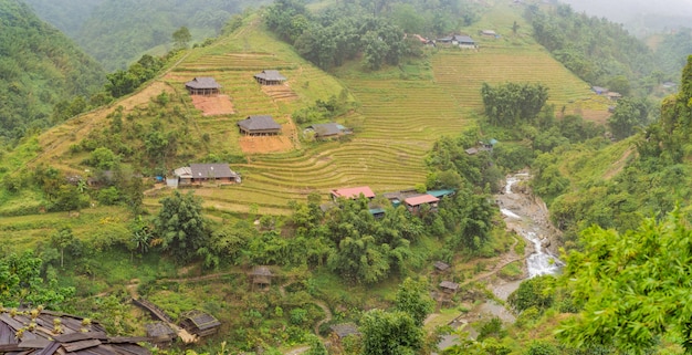 Rice terraces in the fog in sapa vietnam rice fields prepare the harvest at northwest vietnam