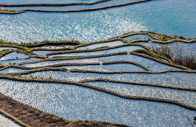 Rice terraces in Yuanyang County. Yunnan Province. China.