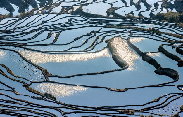 Rice terraces in Yuanyang County. Yunnan Province. China.