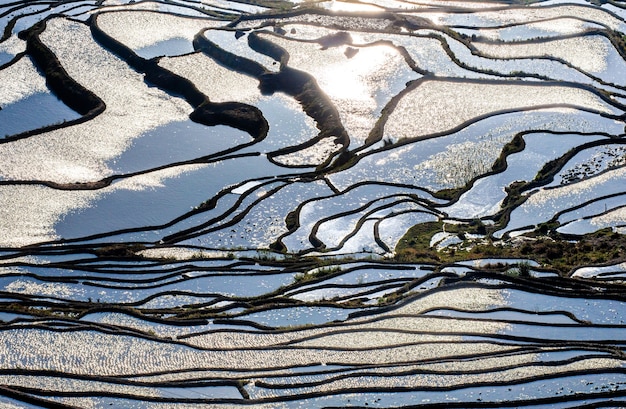 Rice terraces in Yuanyang County. Yunnan Province. China.