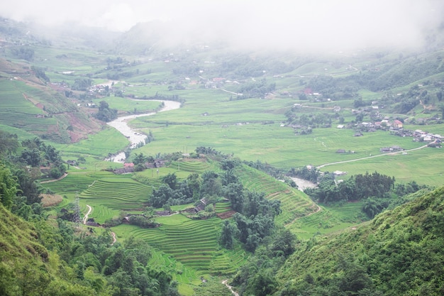 rice terraces