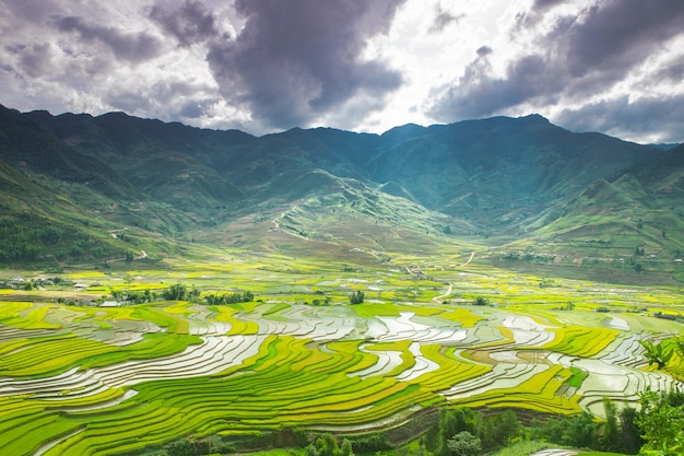 rice terraces