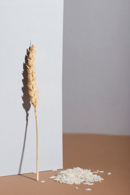 Rice and wheat ear arrangement