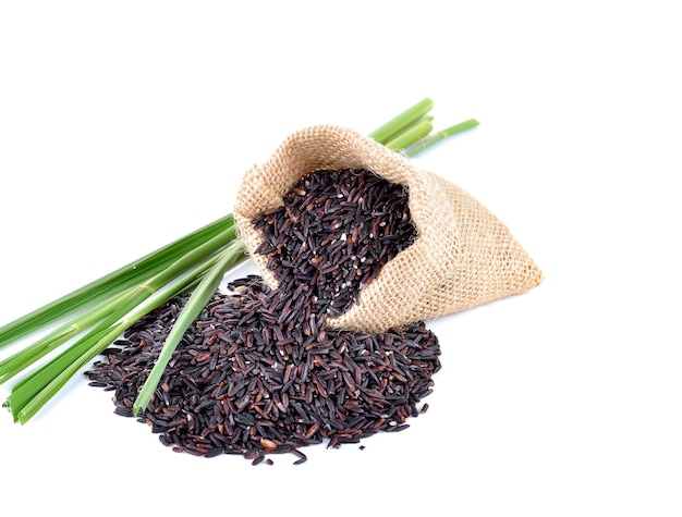 화이트에 Riceberry 쌀