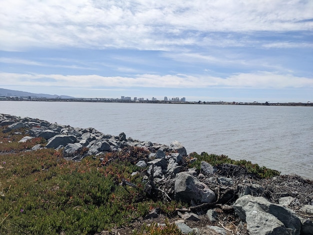 Richmond marina California